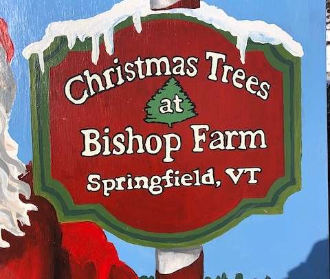 Christmas Trees At Bishop Farm - Springfield, Vermont