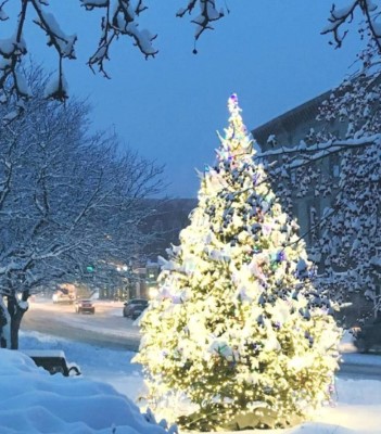 Real Christmas Trees | Vermont Christmas Trees